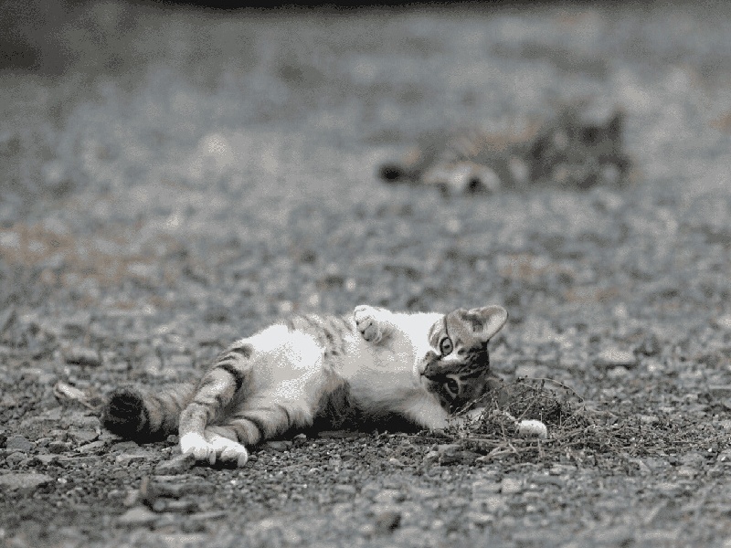 长沙惜缘试管代生机构:怀二胎孕吐反应特大,和孕妇自身以及胎儿都有关